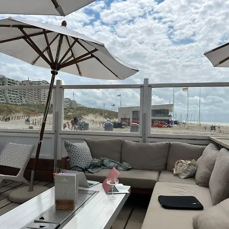 Putter Comfort By Interhome Ferienhaus Noordwijk