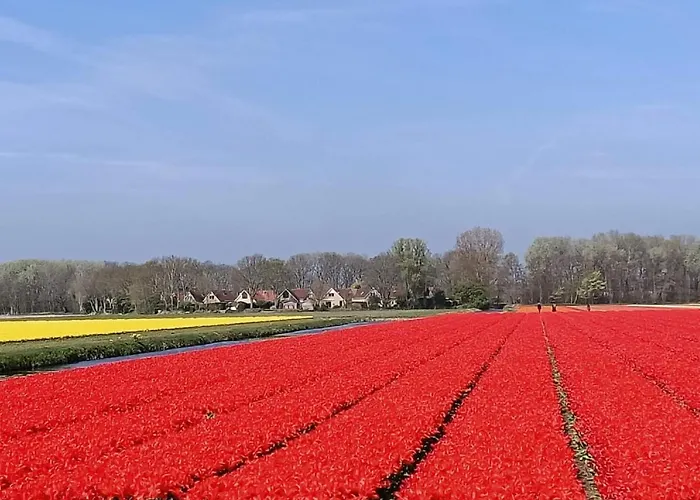 Üdülőpark Putter Comfort By Interhome *